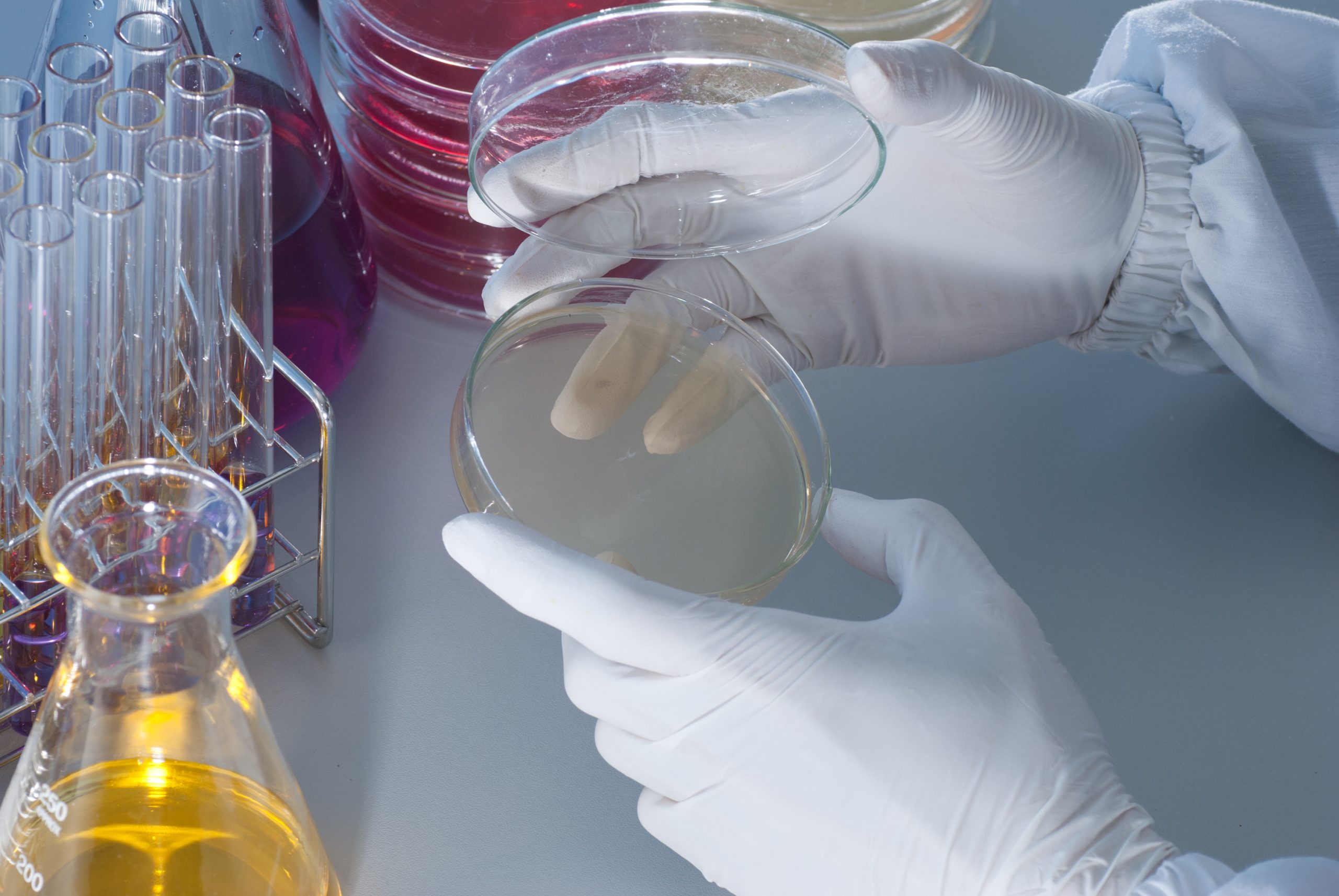 Microbiology,Experiment